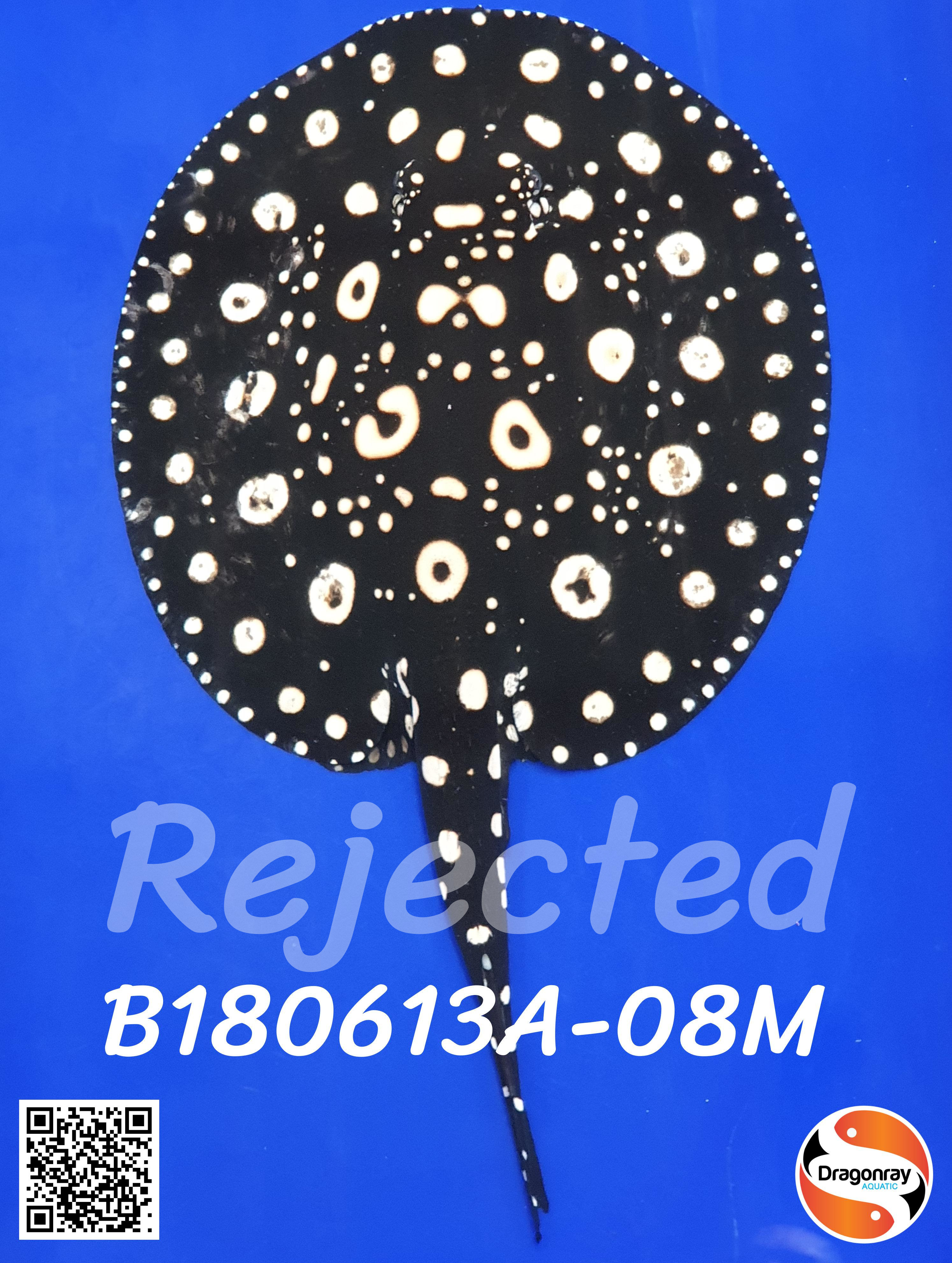 B180613A-08M